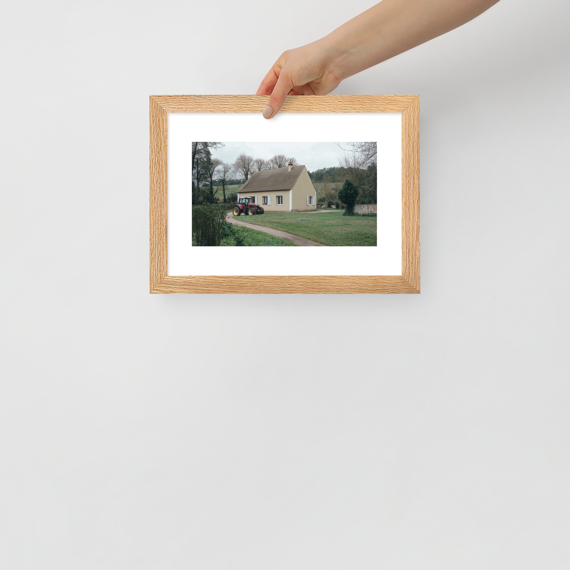 Sweet Home VII